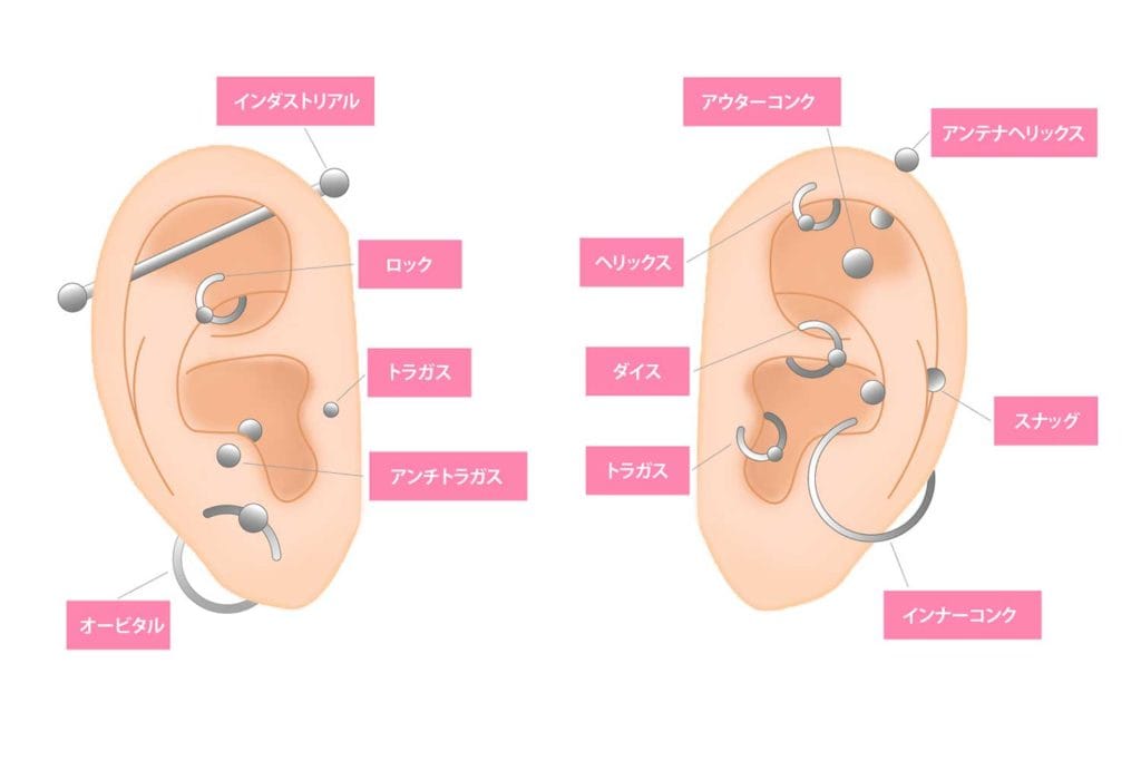 ピアスの穴の部位と名称